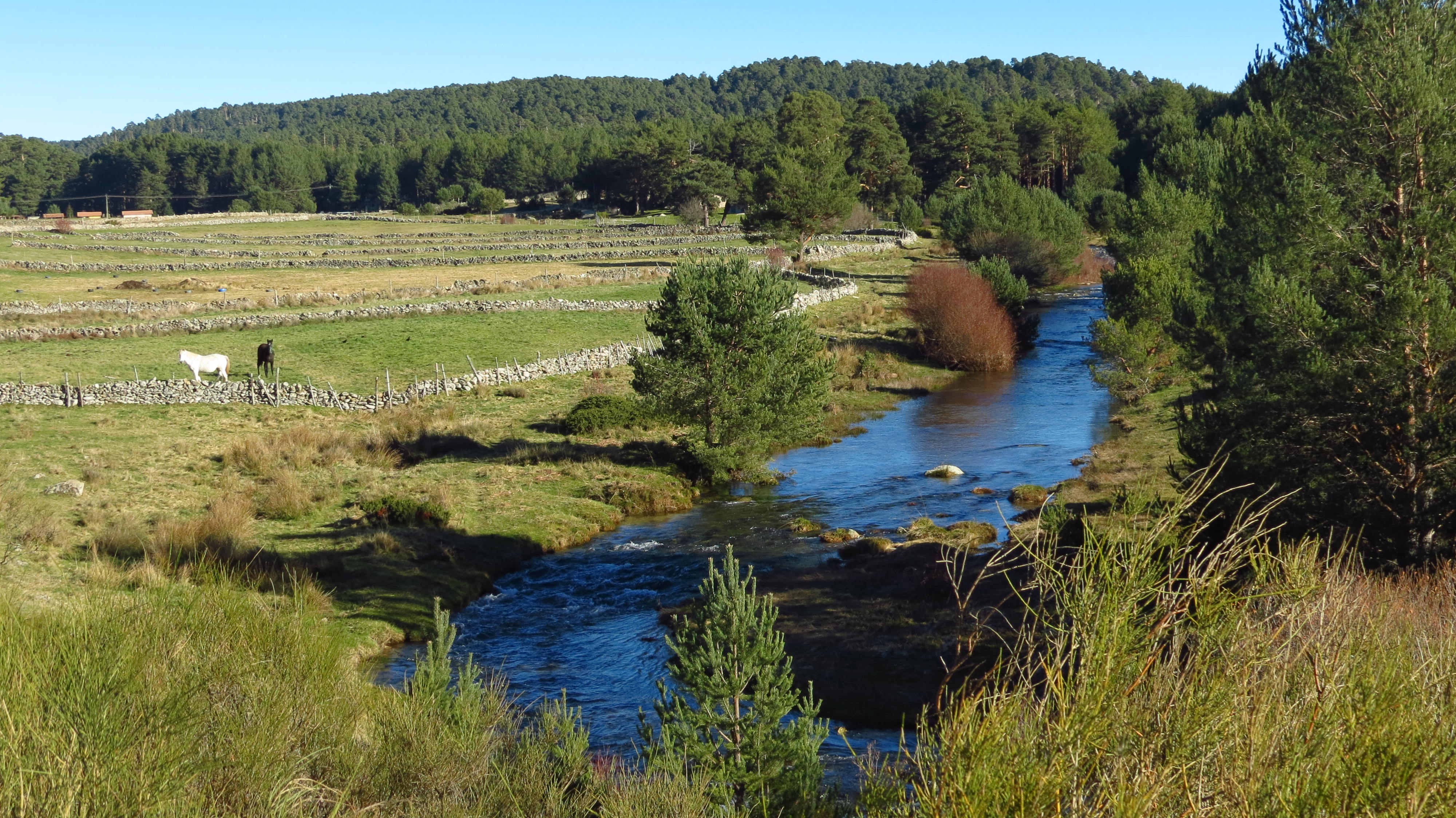 Empezando a ser rio.(Aguas del Tormes 2)